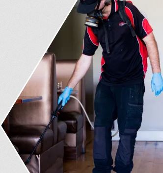 Perth Pest Control | Chambers Pest Solutions